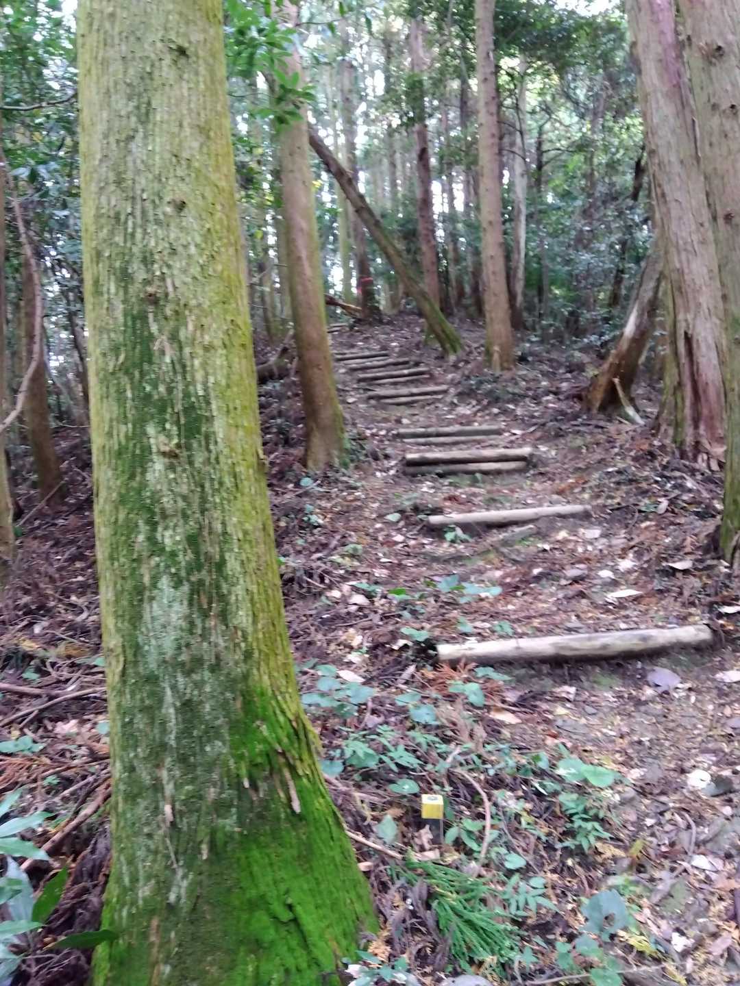 階段😉