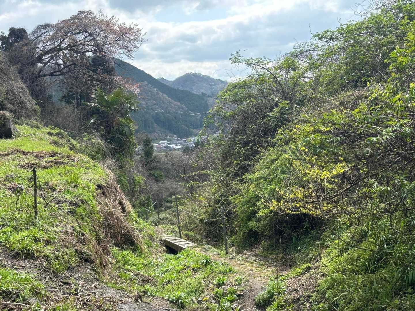 盛金富士を下山してきました。趣のある道です。