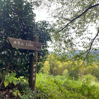 ここから山道