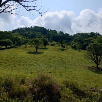 この風景に強い印象が残った。時間が有ればここで昼寝いいかな。まるで天空の緑地公園。美しい。
