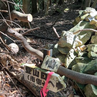 ここから南登山口へおります。