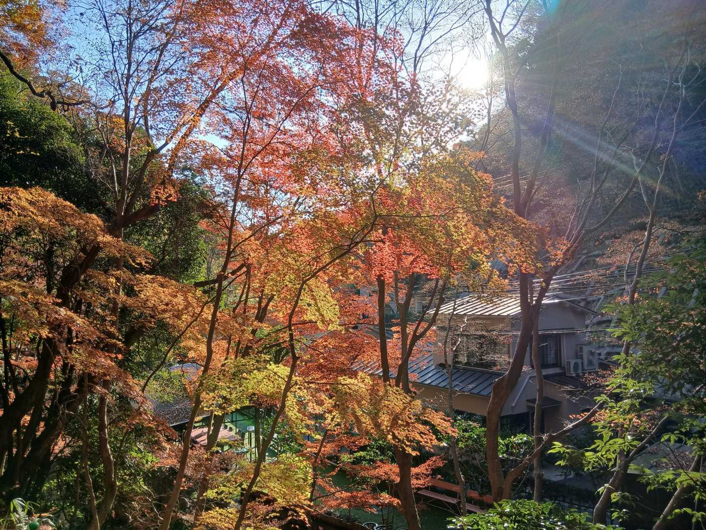 鵯越駅-石井ダム登山口-菊水山-鍋蓋山-再度越-諏訪山公園 縦走コースの写真