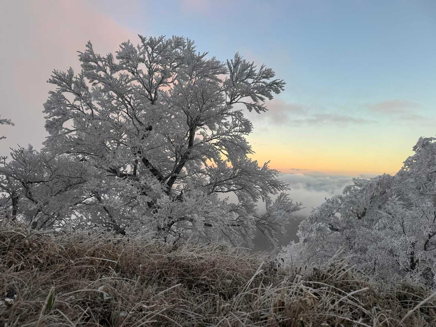 高城山 往復コースの写真