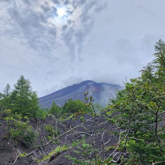 富士山見えた