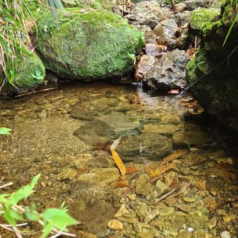 水場