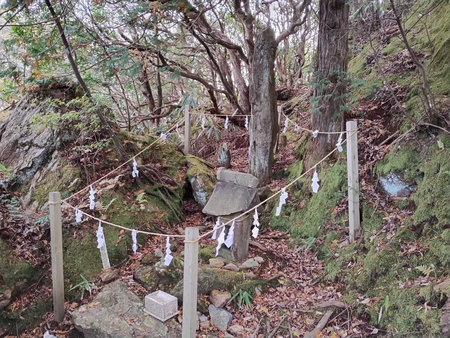 パワースポットです😉
それでは高鈴山に向かいます👏
ここからは超快適な山歩になります🤗