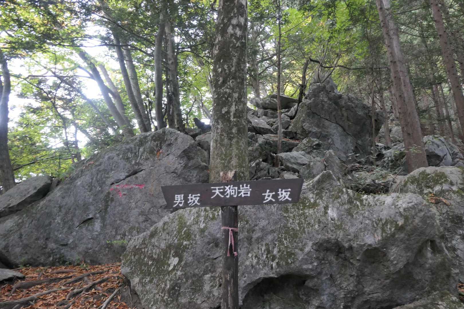 天狗岩に到着。
男坂を登ります。