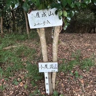 典型的な山城跡