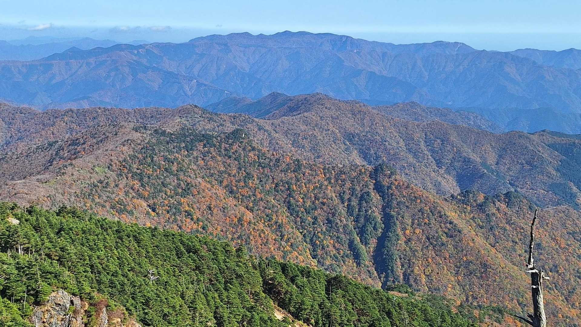 大台ヶ原