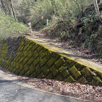 下りて来ました❣️
ここからは陣馬山にも行けるし、明王峠を経由して高尾方面にも行けます