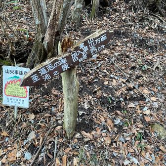 加入道山登山口に7:00頃到着。7:20頃登山開始。YouTubeでは気軽に登れる山のように言っている人がいたのでこのルートを選んだのですが…。