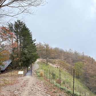 この先テン場なのだが🏕️
ここも一等地