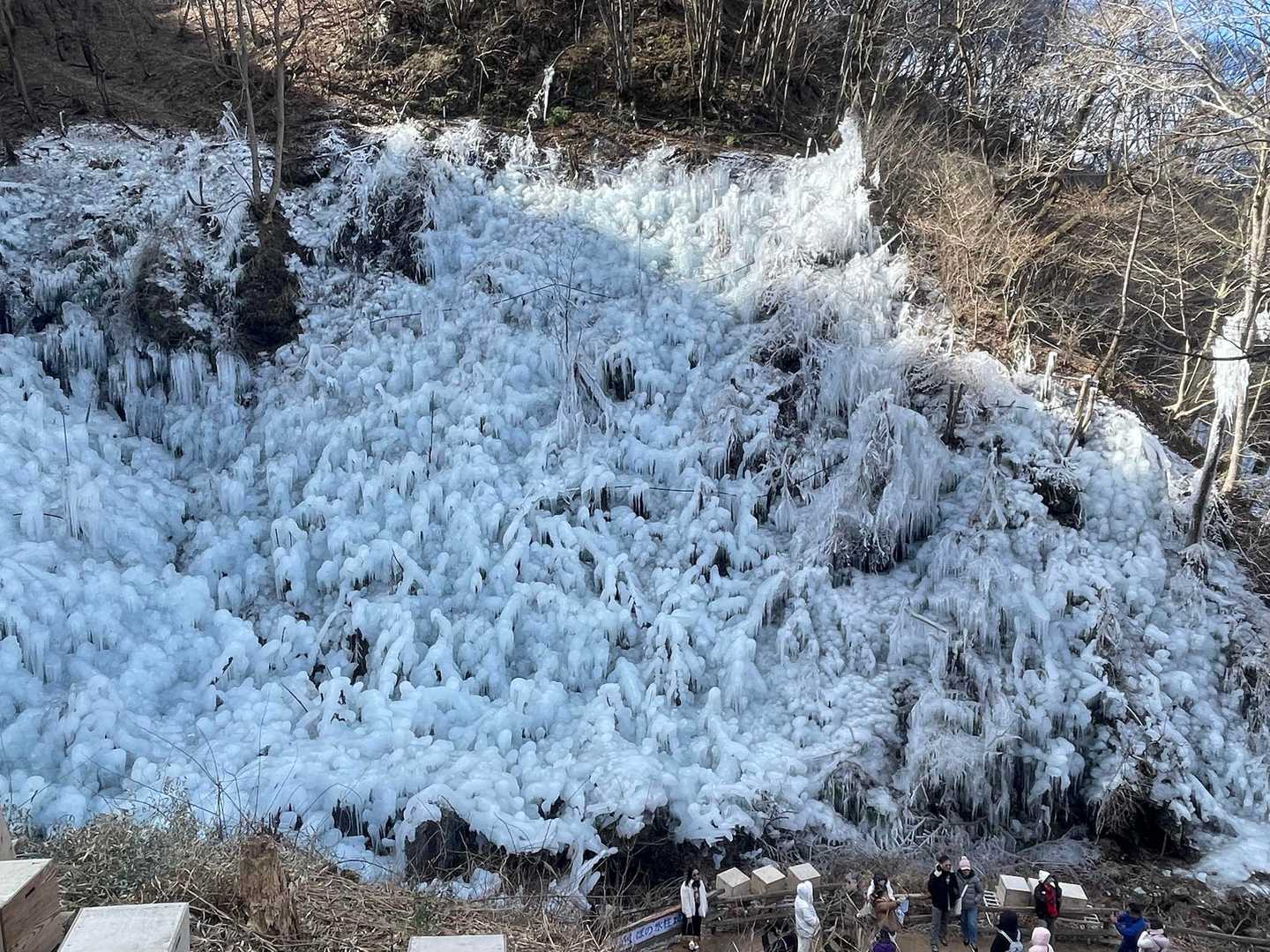日向山登り口-琴平神社-日向山 周回コースの写真