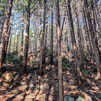 ここは急だった、ヒーヒー！