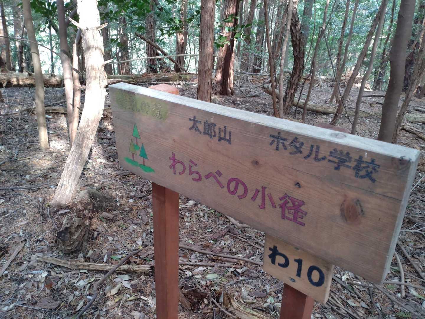 鳥川アルプス 周回コースの写真