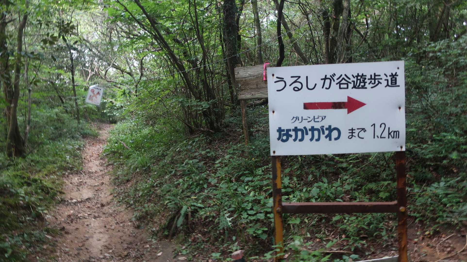 七曲峠-三国峠-九千部山 往復コースの写真