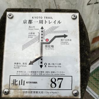 下山してきました⛰️
87番から最寄りのバス停は『槇ノ尾』ですが手前の『栂尾』は始発のバス停なのでアドバイスを無視します🤪