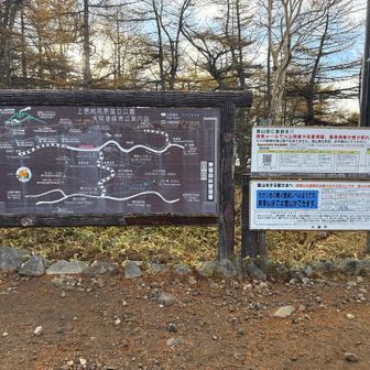 ようやく登山口へ♪