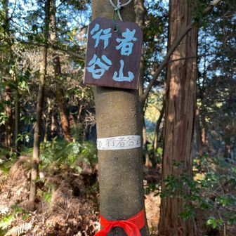 すぐに行者山到着