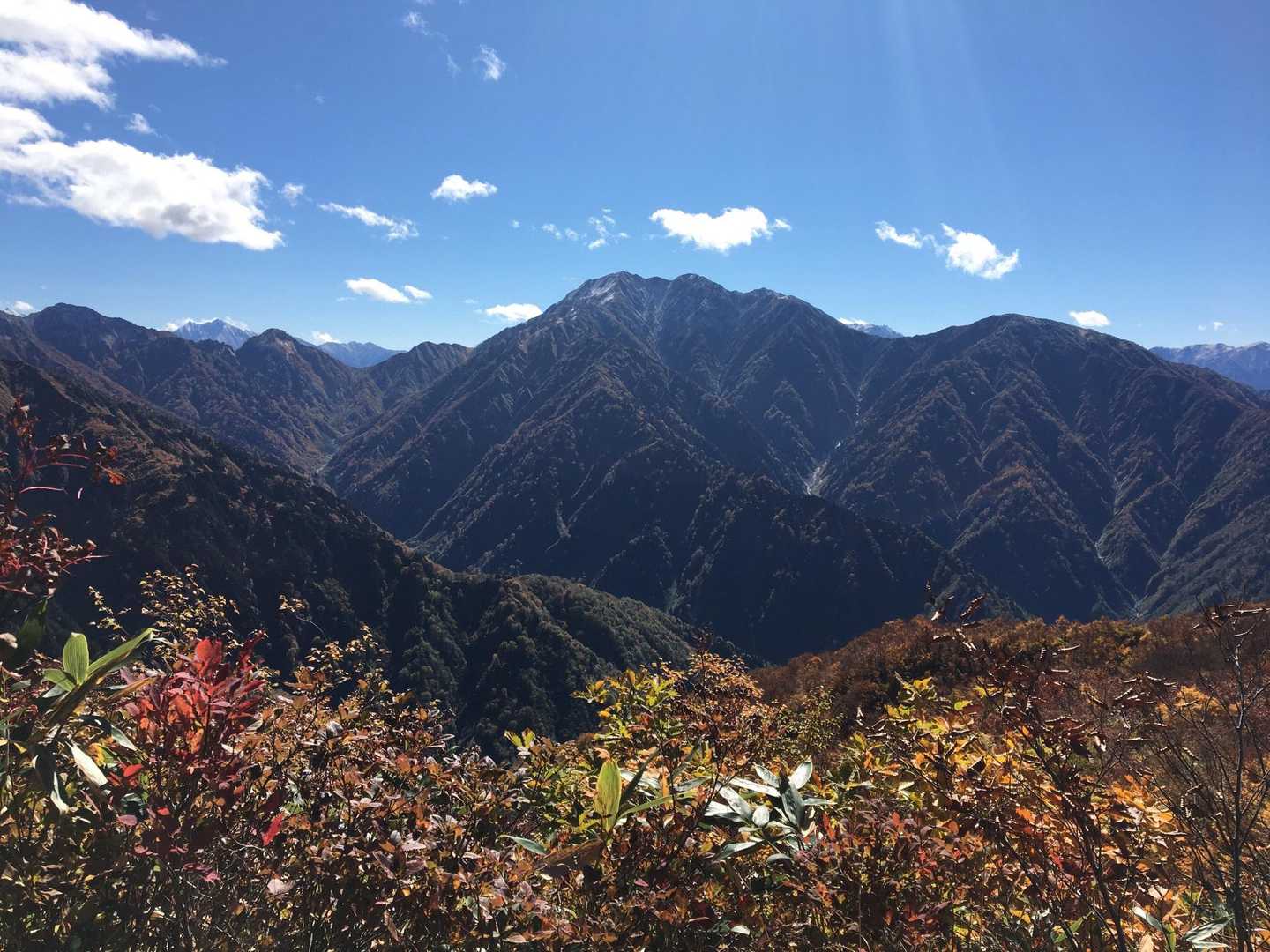 伊折山-成谷山 -僧ヶ岳 往復コースの写真