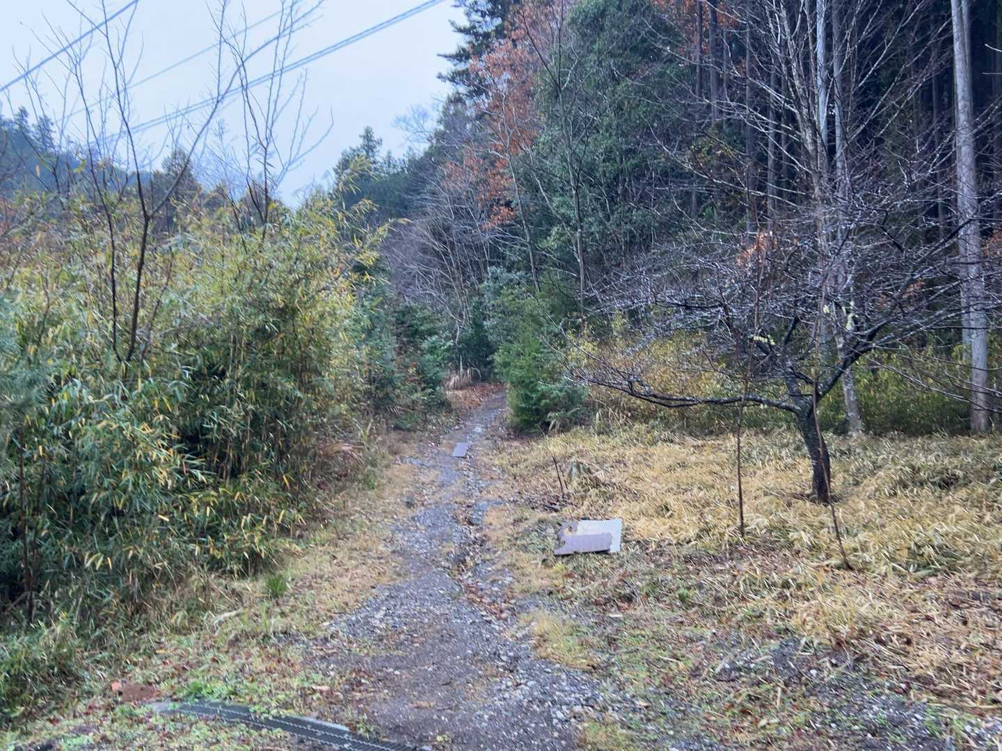 こちらの登山口から山登りを開始。