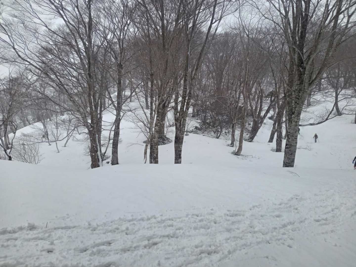 蕎麦粒山 往復コースの写真