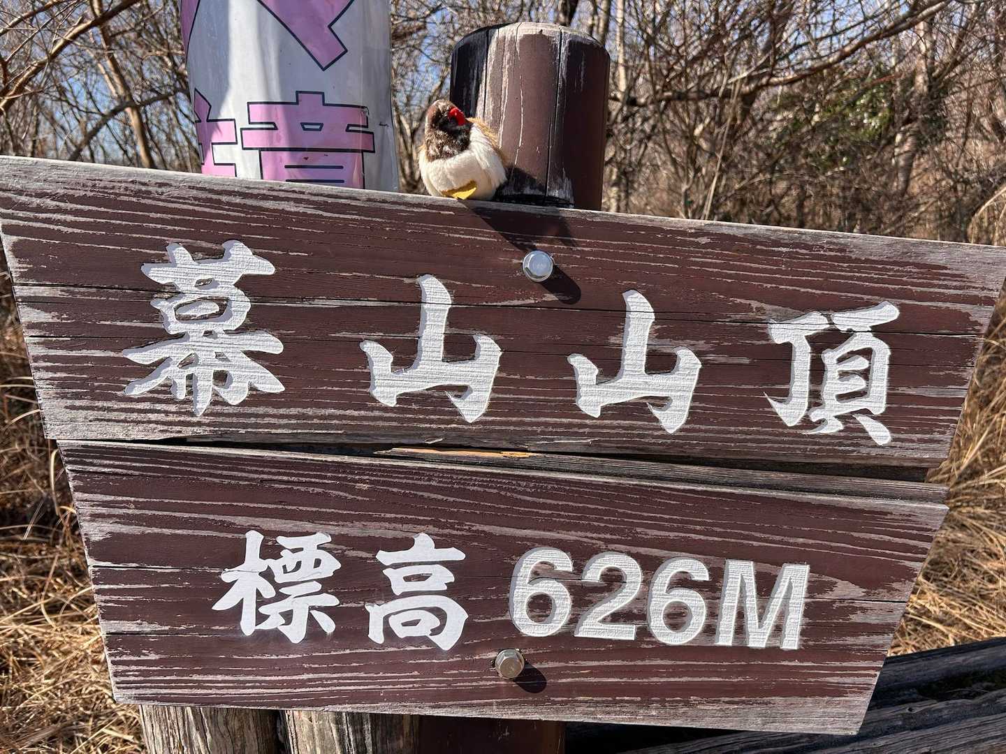 山頂到着⛰️