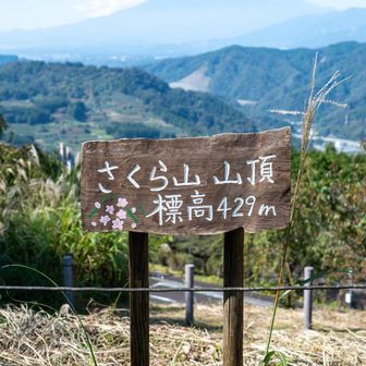 標高429mだけど眺望良し