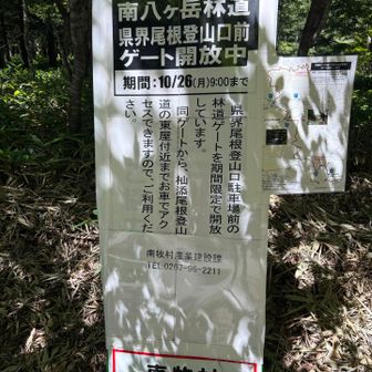この林道を使えば更に30分もショートカット出来たのか！知ってる人、行き方教えてください🙇