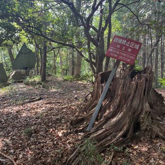 遠ノ平山 山頂