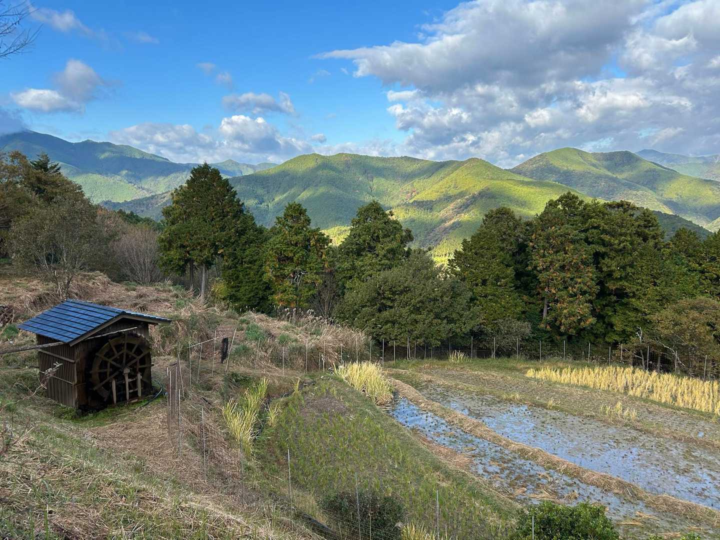 水車小屋と田んぼ
日本の原風景だなぁ