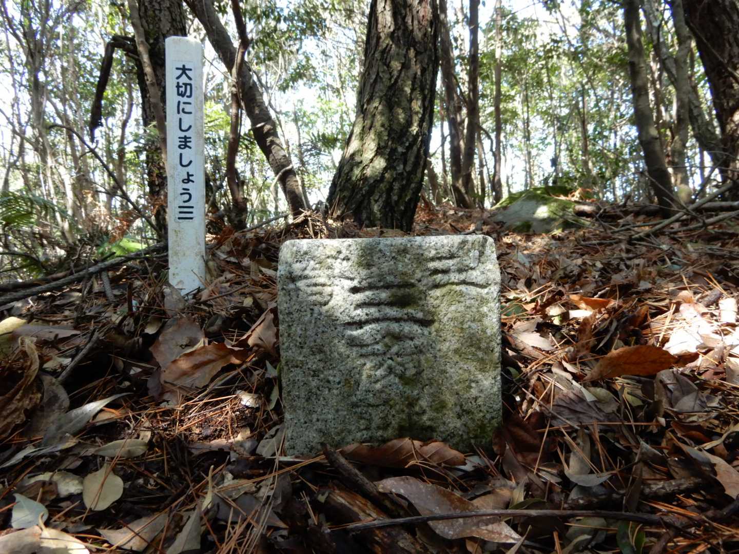 樹林に覆われた狭い山頂は、三等三角点（烏山）が置かれているだけで展望はない