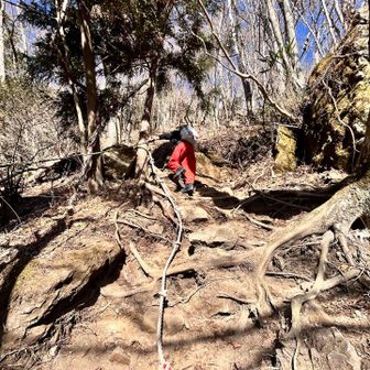 ロープを使うほどでもないけどあると安心