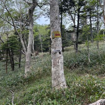六林班峠分岐