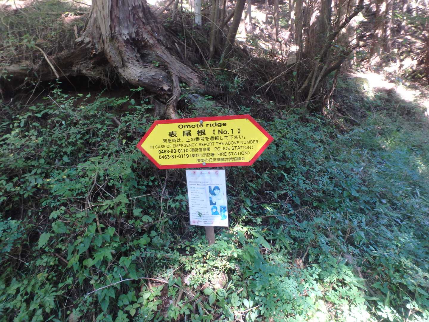車道分岐から200m程入ってくると舗装路が終わりここから登山道になる