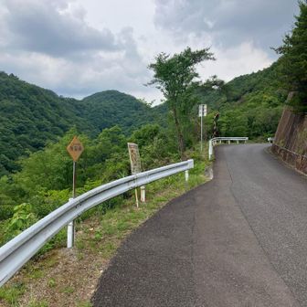 あまり雲の切れ間はなさそう。
でも雨降りになる雰囲気でもない。
とにかく3座登頂すれば問題なし。