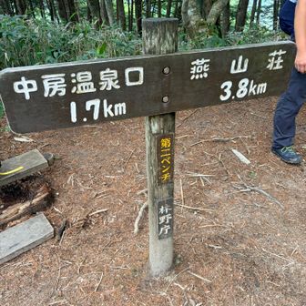 ベンチごとに休憩できるのいいよね