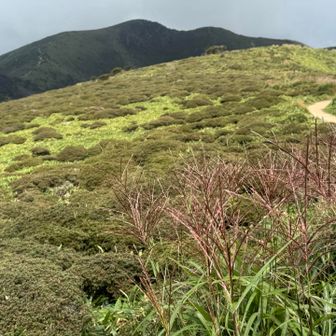 MKの時期にまた来よう