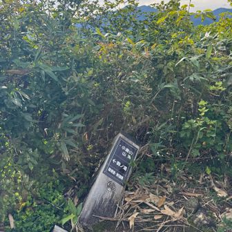 やっと到着した小倉山。。倒れてらっしゃる(￣▽￣;)