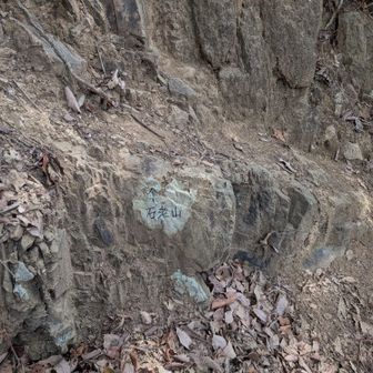 一応、書いてはあるけれど(苦笑