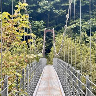 もう一つ吊り橋を渡り、少し行くと