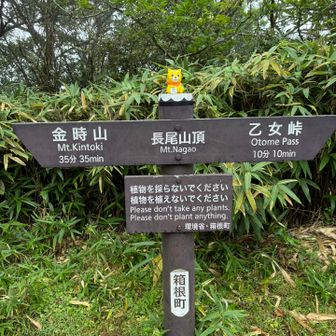 山頂🐻