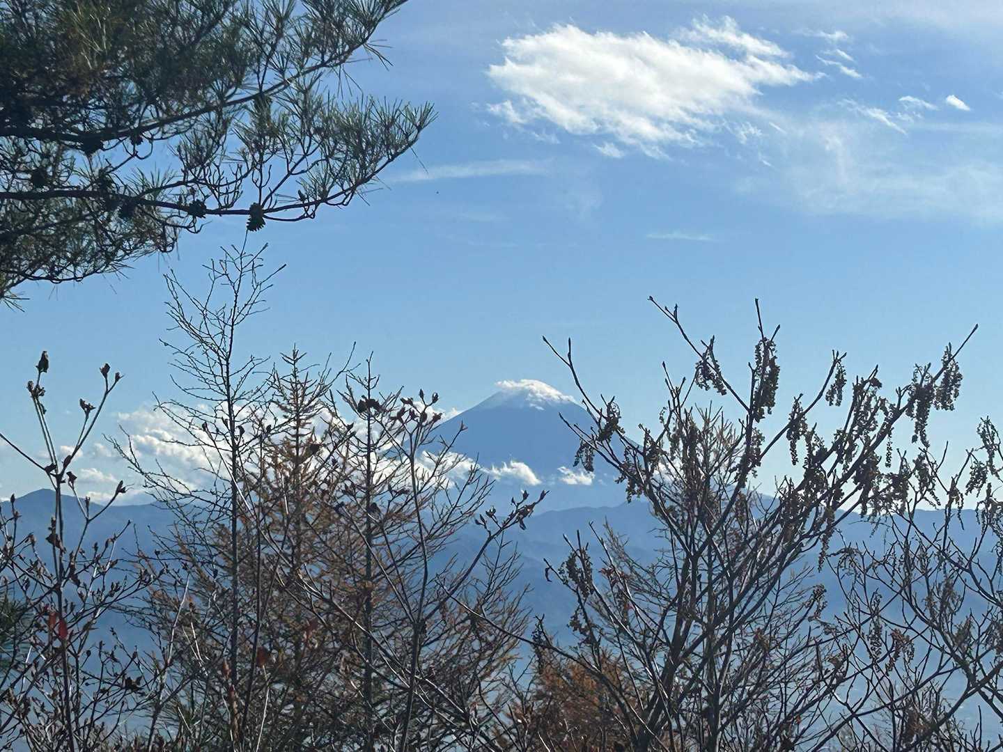 富士山がきれいです