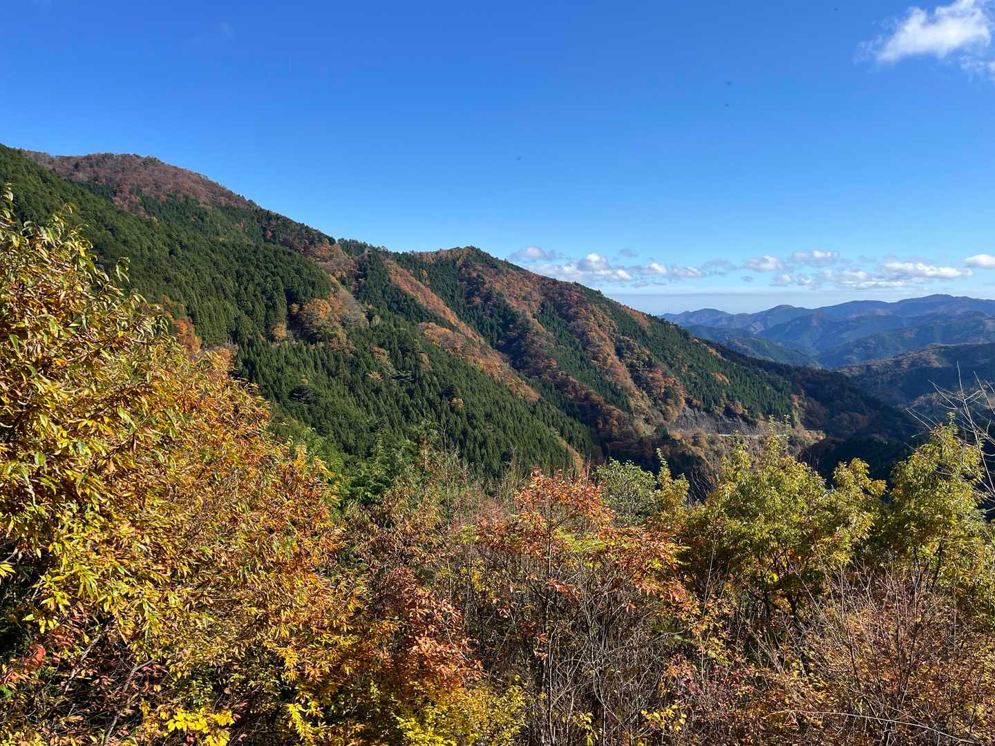 生藤山が見えます