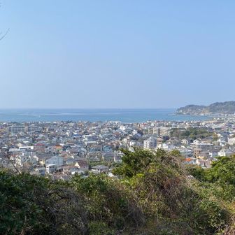 見晴台からの図🌲🏘️🌊。このあとコースアウトしてしまい、しばし藪漕ぎすることに💦