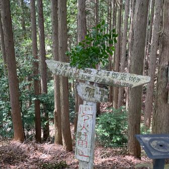 ここは左へ入り中道へ