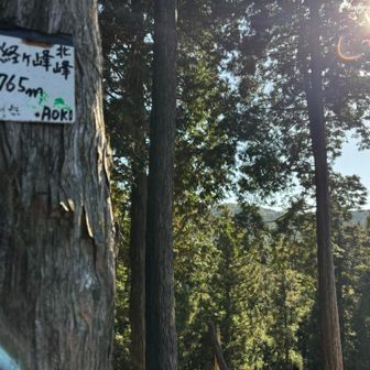 特に見所なく経ヶ峰北峰🙌