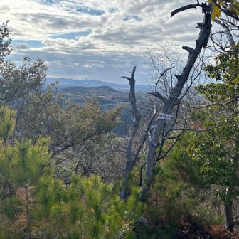 西大岩ケ岳ピーク