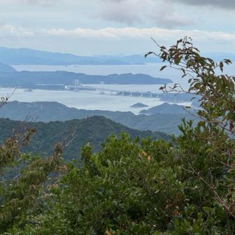 頂上から見る鳴門大橋。