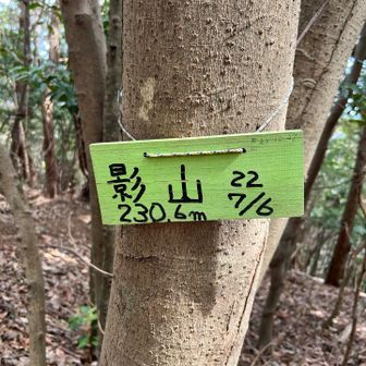 最後のぴーく、影山